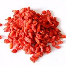 Großhandel getrocknete wilde Goji Berry Ningxia Bulk